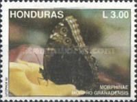 Granada Morpho (Morpho granadensis)
