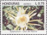 Epiphyllum sp.