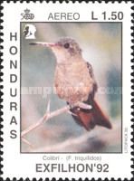 Cinnamon Hummingbird (Amazilia rutila)