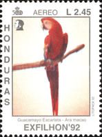 Scarlet Macaw (Ara macao)