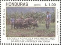 School of Agriculture Pan-American