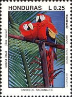Scarlet Macaw (Ara macao)