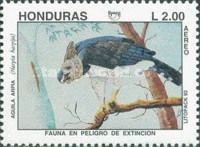 Harpy Eagle (Harpia harpyja)