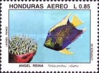 Queen Angelfish (Holacanthus ciliaris)