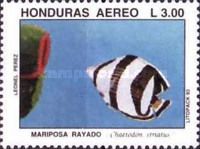 Banded Butterflyfish (Chaetodon striatus)