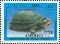 Scorpion Mud Turtle (Kinosternon scorpioides)