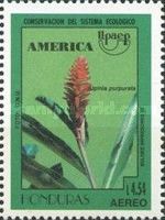 Alpinia purpurata