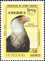 Crested Caracara (Polyborus plancus)