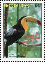 Keel-billed Toucan (Ramphastos sulfuratus)