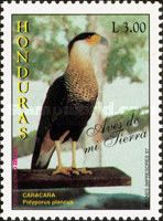 Crested Caracara (Polyborus plancus)