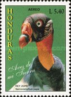 King Vulture (Sarcoramphus papa)