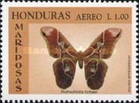 Forbes' Silkmoth (Rothschildia forbesi)