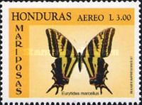 Zebra Swallowtail (Eurytides marcellus)