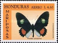 Iphidamas Cattleheart (Parides iphidamas)