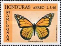 Monarch Butterfly (Danaus plexippus)