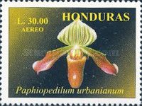 Paphiopedilum urbanianum