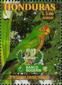 Orange-fronted Parakeet (Aratinga canicularis)