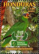 Red-lored Parrot (Amazona autumnalis)