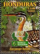 Sunbittern (Eurypyga helias)