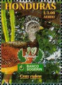 Great Curassow (Crax rubra)