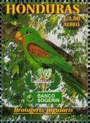 Orange-chinned Parakeet (Brotogeris jugularis)