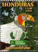 King Vulture (Sarcoramphus papa)