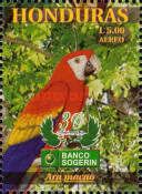 Scarlet Macaw (Ara macao)