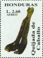 Quijada de caballo
