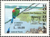 Turquoise-browed Motmot (Eumomota superciliosa)