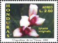 Lycaste virginalis