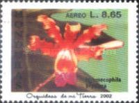 Myrmecophila brysiana