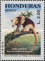Northern Tamandua (Tamandua mexicana)
