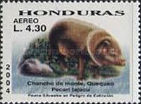 Collared Peccary (Pecari tajacu)