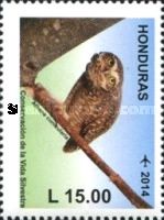 Burrowing Owl (Athene cunicularia)