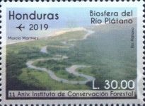 View of Rio Platano