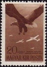 White-tailed Sea-eagle (Haliaeetus albicilla), Aircraft