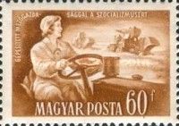 Woman driving a tractor