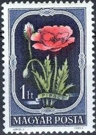 Poppy (Papaver rhoeas)