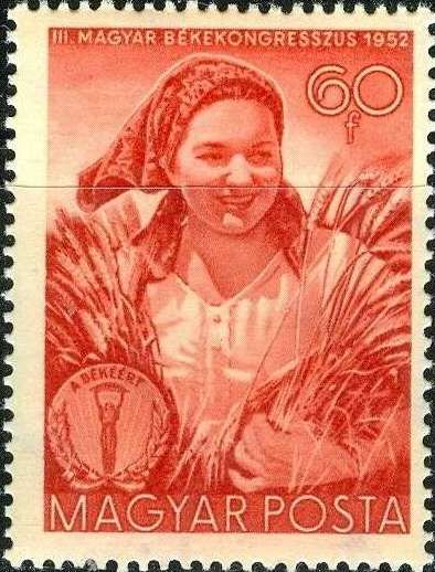 Farmer's woman on a wheat field