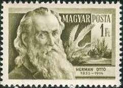 Ottó Herman (1835-1914) Ornithologist, Heron (F: Ardeidae)