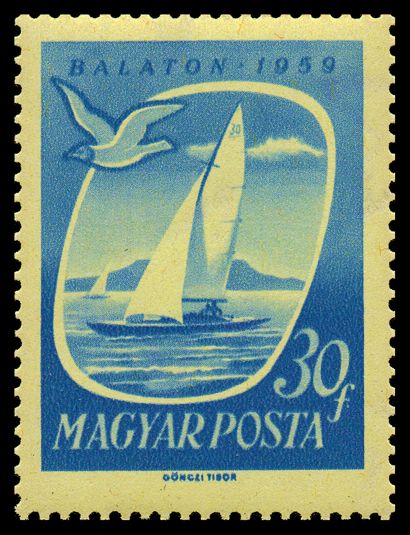 Sailboat on Lake Balaton, Gull (Larus sp.)
