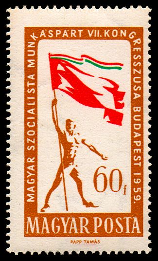 Man with flag