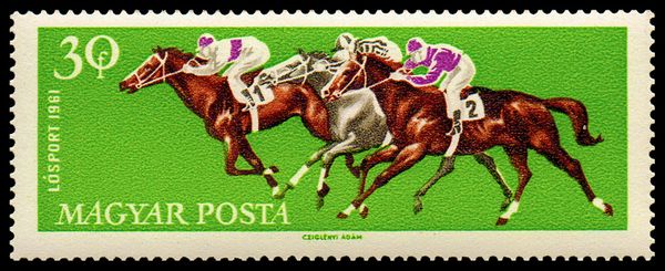 Galloping Horses (Equus ferus caballus)