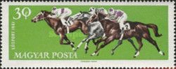 Galloping Horses (Equus ferus caballus)