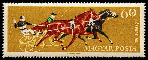 Two Trotters, Horse (Equus ferus caballus)