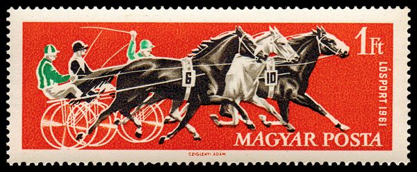 Three Trotters, Horse (Equus ferus caballus)