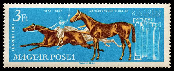 Race Horse Kincsem, Horse (Equus ferus caballus)