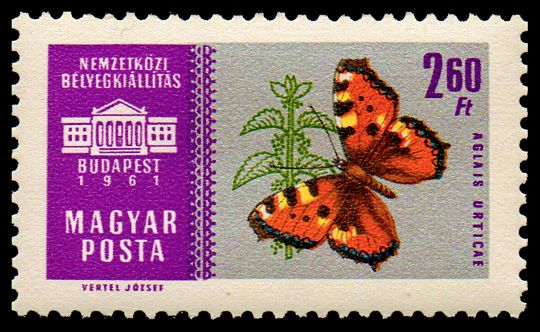 Small Tortoiseshell (Aglais urticae)