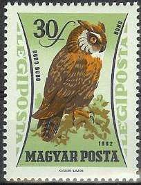 Eurasian Eagle-owl (Bubo bubo)