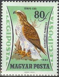 Booted Eagle (Hieraaetus pennatus)